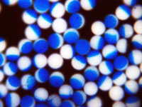Janus Particles - Blue Polymer Microsphere Core with Partial White Coating